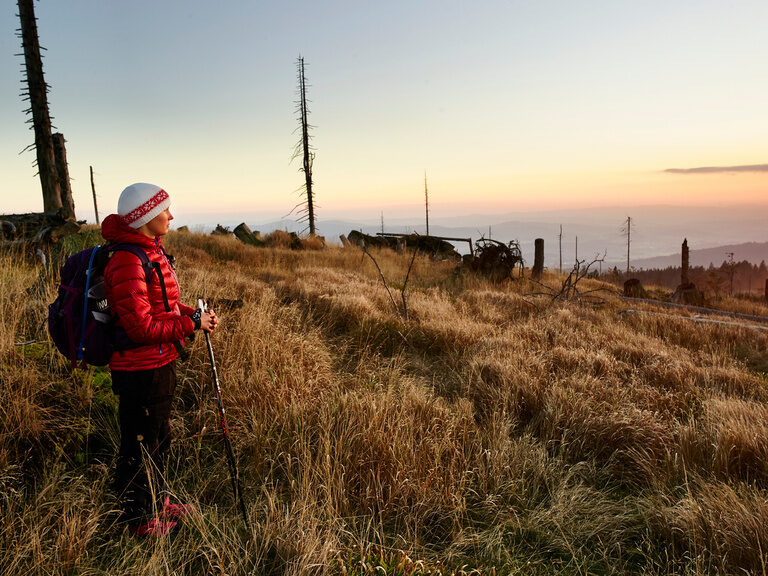 Ein Wanderer mit Rucksack blickt auf den Sonnenaufgang im Bayerischen Wald.